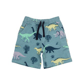 Running Dinosaurs Shorts